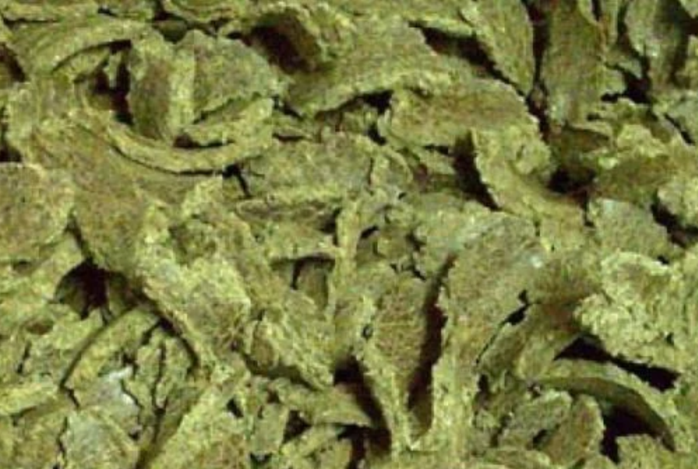 Cotton Seed Oil Cake